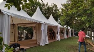 img 20251114 wa0061 1